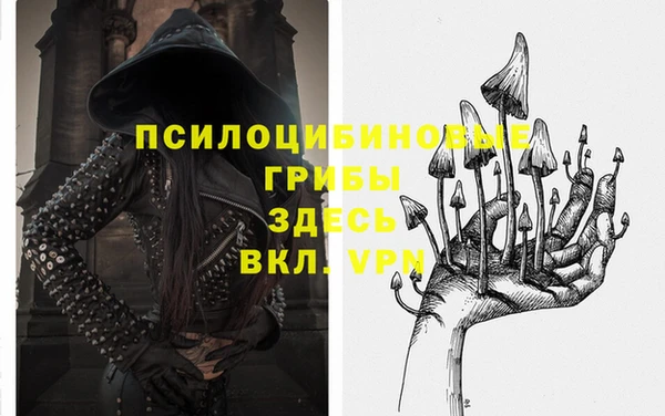 трава Абинск